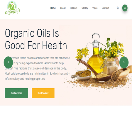 software And Website Development Company in ujjain